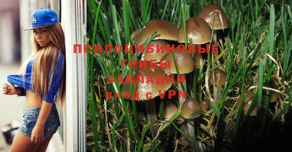дмт Армянск