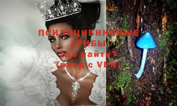 шишки Балабаново